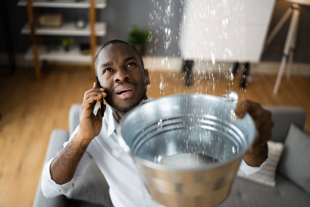 Best Mold removal after water damage  in Commerce, CA