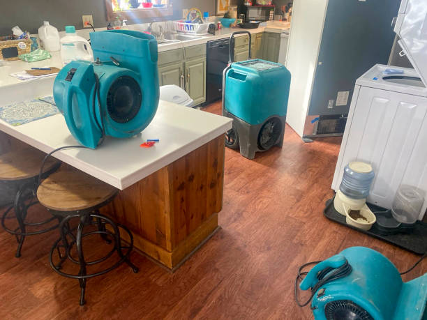 Best Local water damage restoration  in Commerce, CA