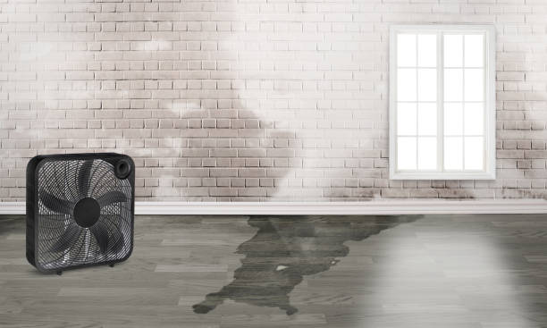 Best Basement water damage restoration  in Commerce, CA