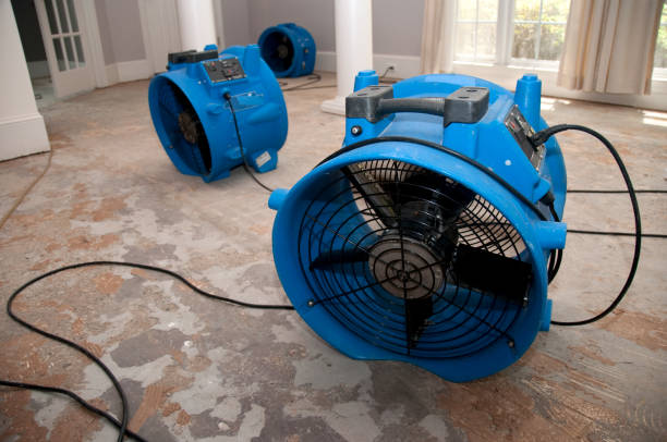 Best Mold removal after water damage  in Commerce, CA