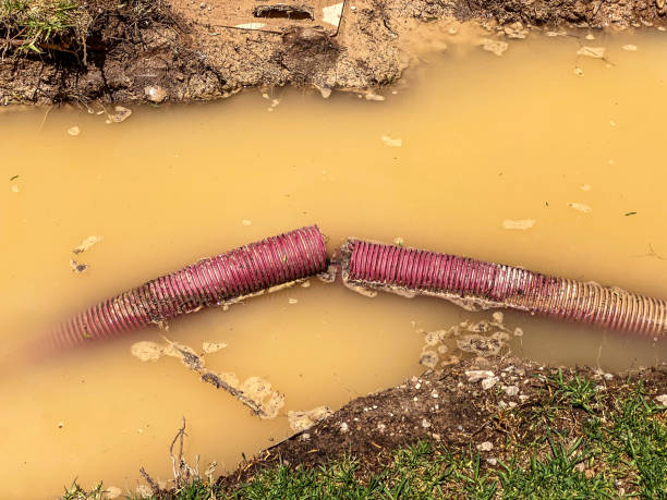 Best 24/7 water damage repair  in Commerce, CA