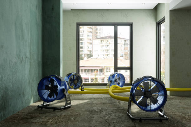 Best Ceiling water damage repair  in Commerce, CA