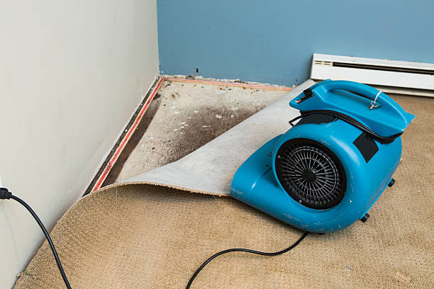 Best Commercial water damage restoration  in Commerce, CA